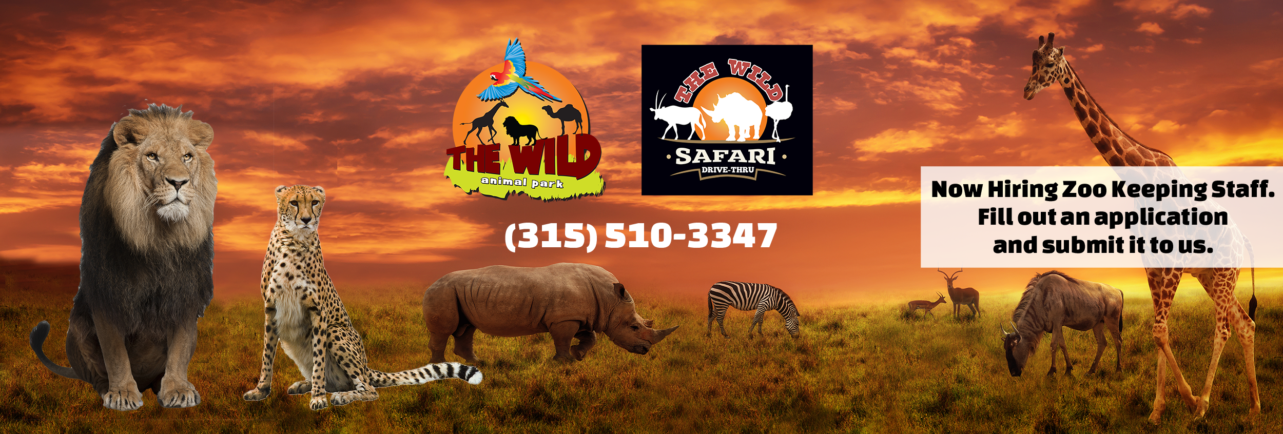 drive through safari buffalo ny